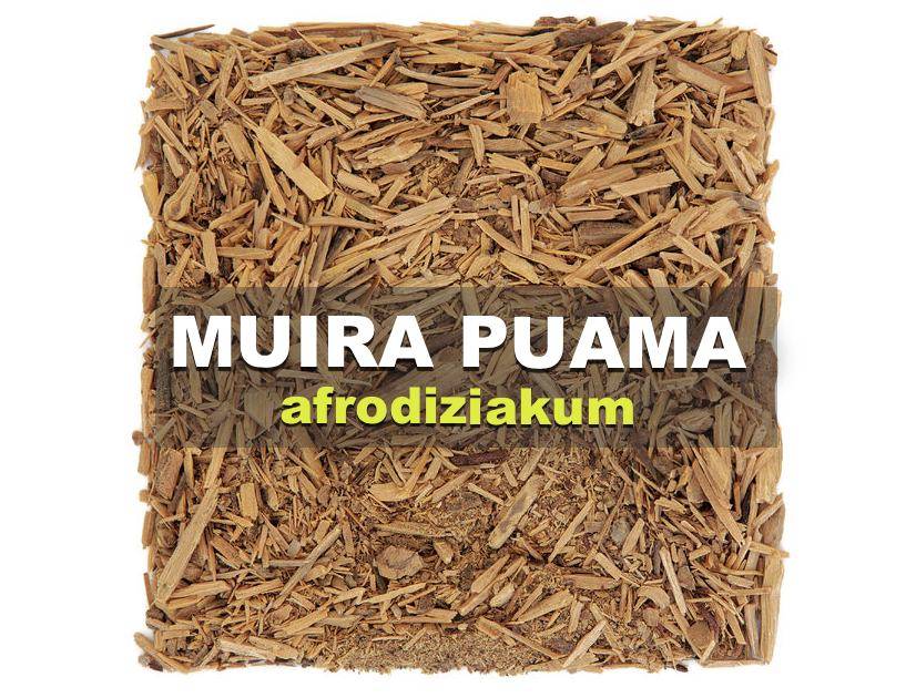 Muira puama účinky, cena, moje skúsenosti s afrodiziakom Erekcia guru
