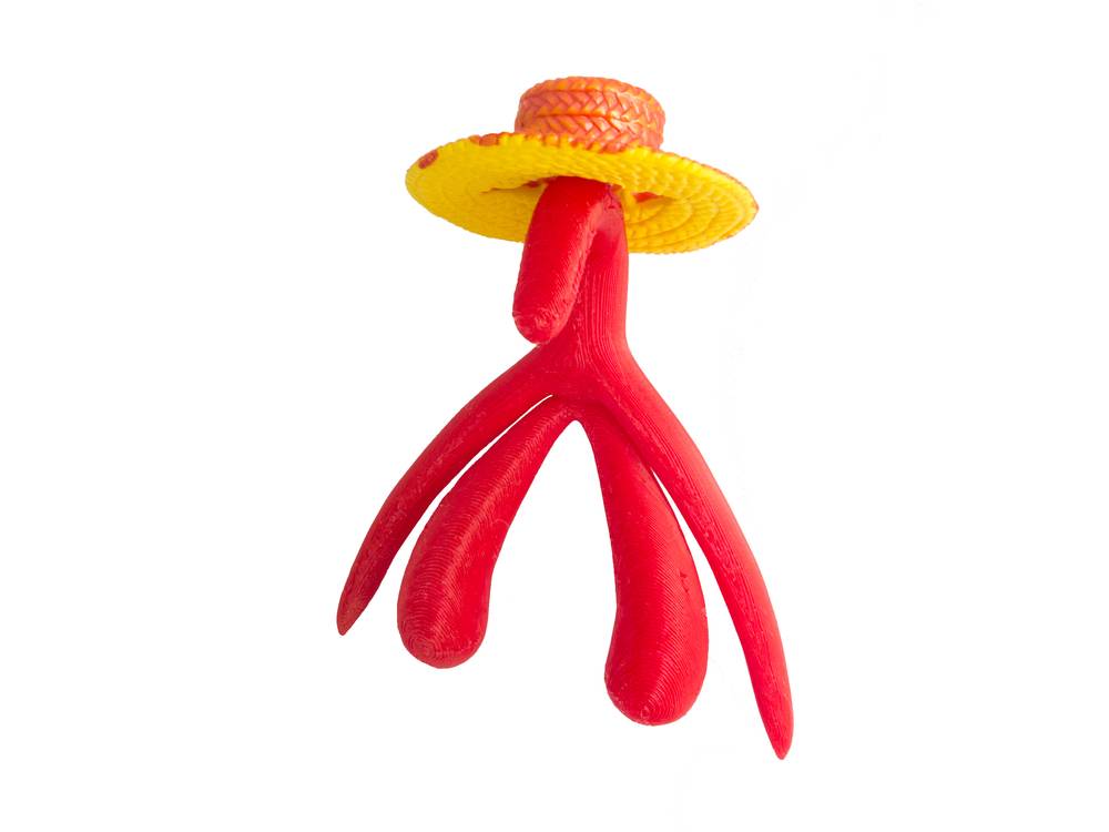 anatomický model klitorisu