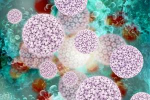 HPV - human papilloma virus - 3D ilustrácia